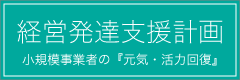 経営発達支援計画